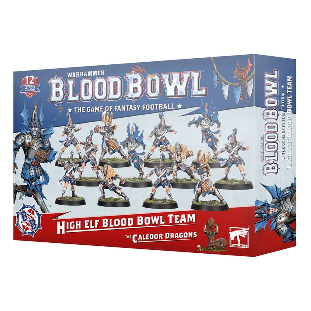 High Elf Blood Bowl Team: The Caledor Dragons