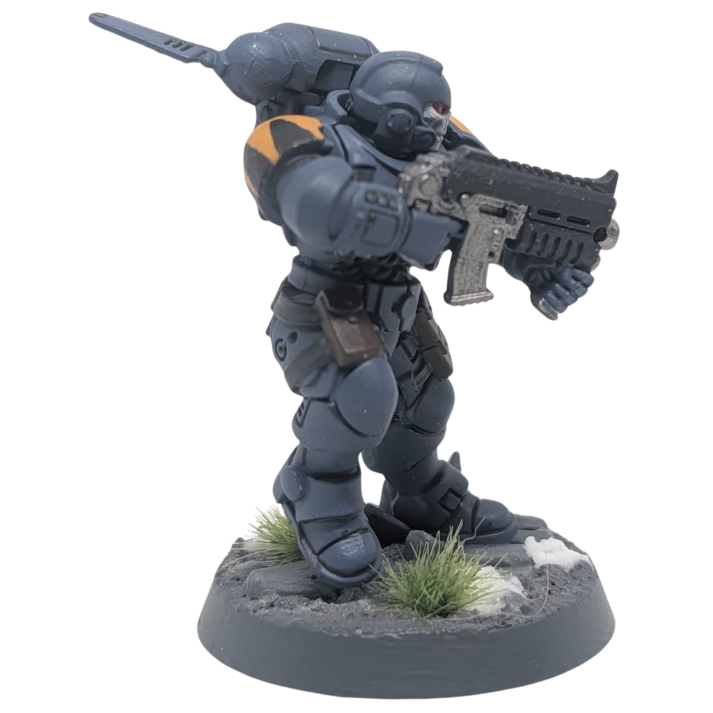Warhammer Heroes – Space Wolves Space Marine (bemalt)