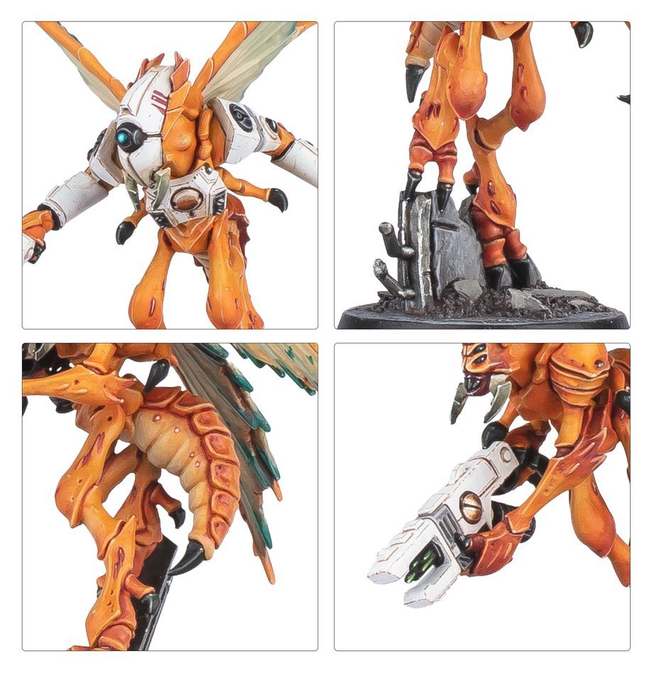 Warhammer 40,000: Kill Team: Vespid-Stachelflügel