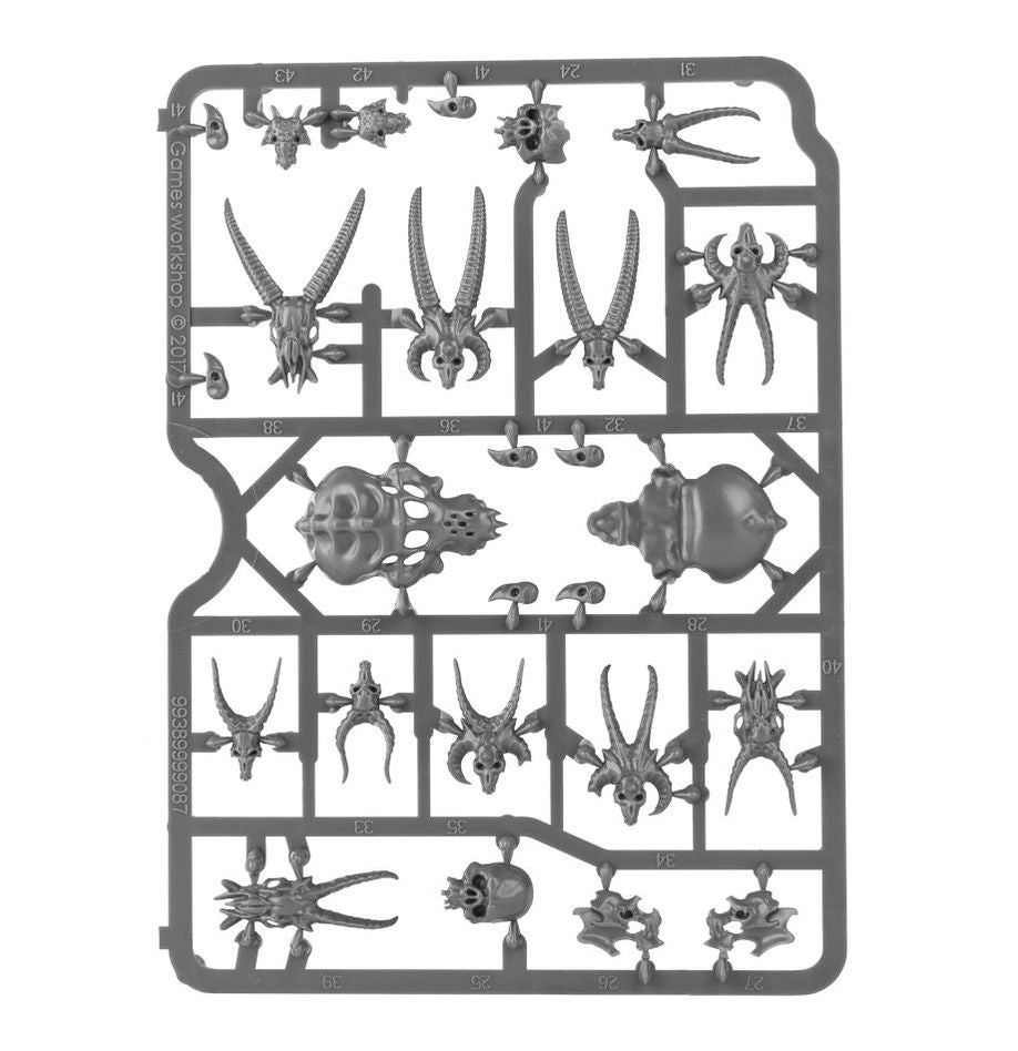 Warhammer Colour: Skulls