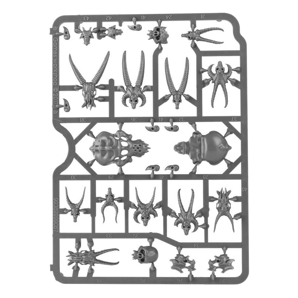 Warhammer Colour: Skulls
