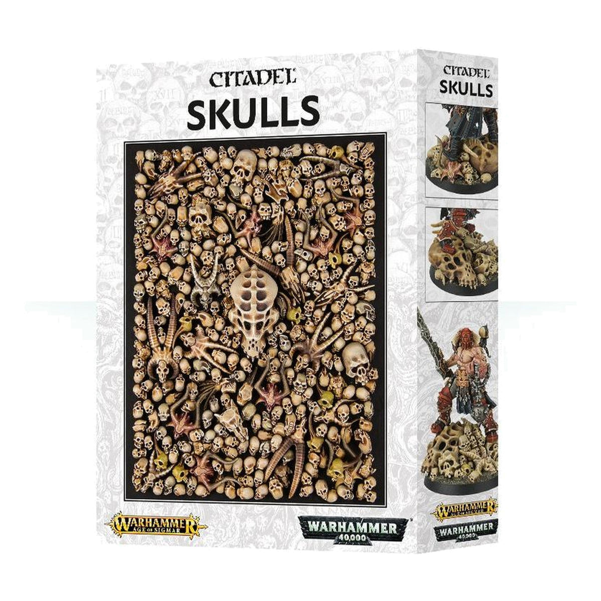 Warhammer Colour: Skulls