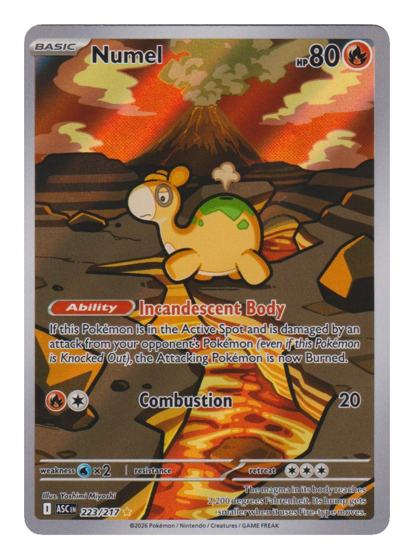 Pokémon: Numel – Erhabene Helden (ASC 223) – Einzelkarte