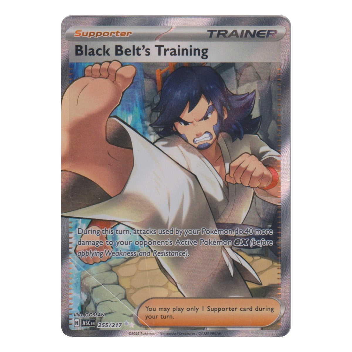 Pokémon: Black Belt's Training – Erhabene Helden (ASC 255) – Einzelkarte