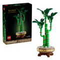 LEGO® Botanicals 10344 - Glücks-Bambus