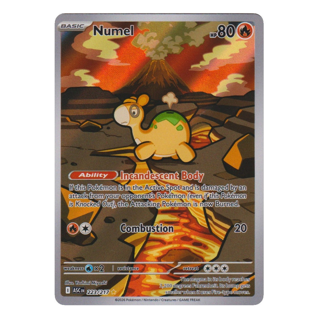 Pokémon: Numel – Erhabene Helden (ASC 223) – Einzelkarte