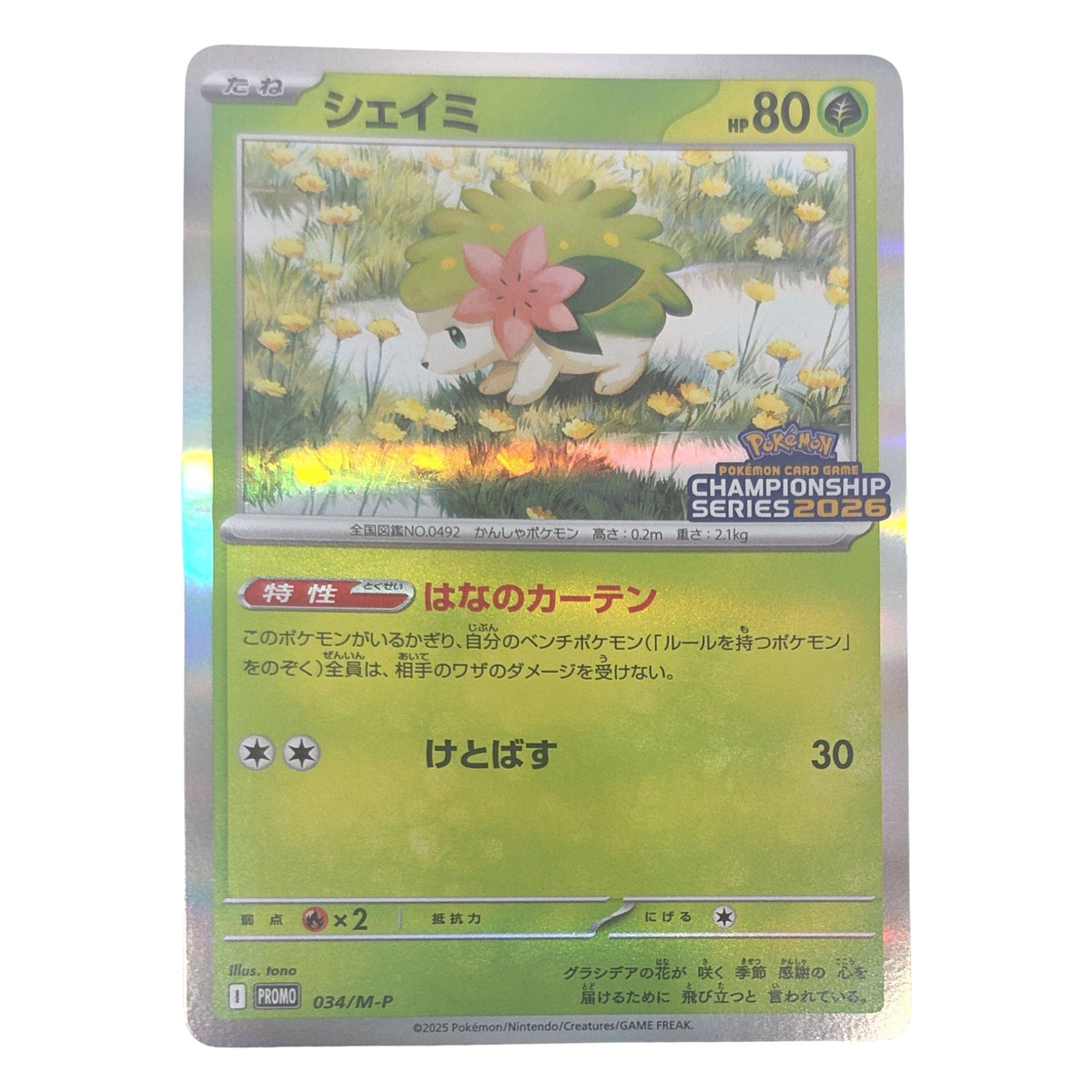 Pokémon: Shaymin – Cartes promo M-P (M-P 34) – Carte individuelle