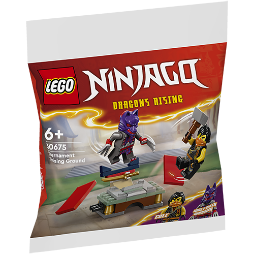 LEGO Polybag 30675 - Turnier-Trainingsgelände