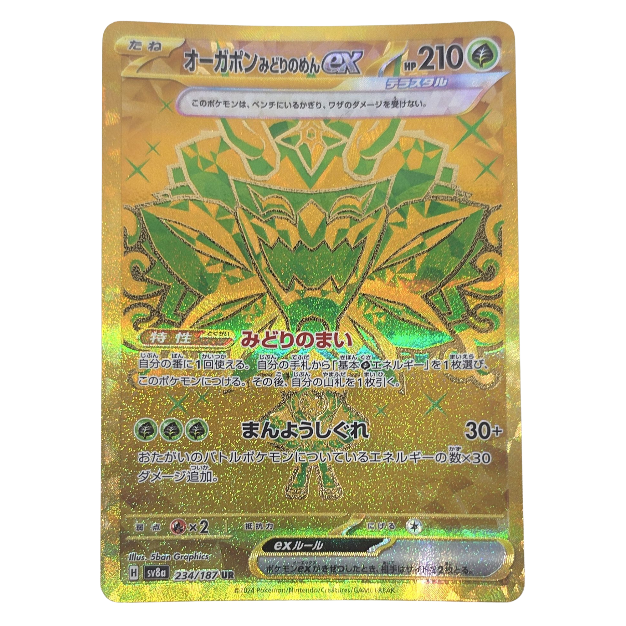 Pokémon: Teal Mask Ogerpon ex – Terastal Festival ex (sv8a 234) – Einzelkarte