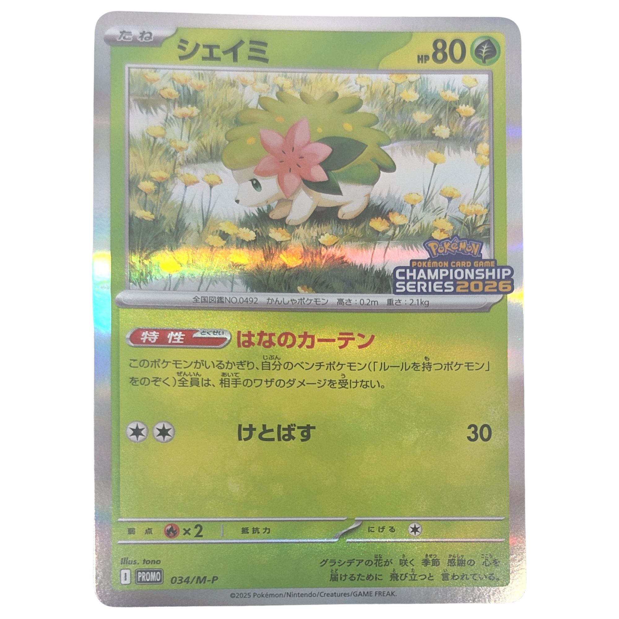 Pokemon: Shaymin - M-P Promos (M-P 034) - Einzelkarte