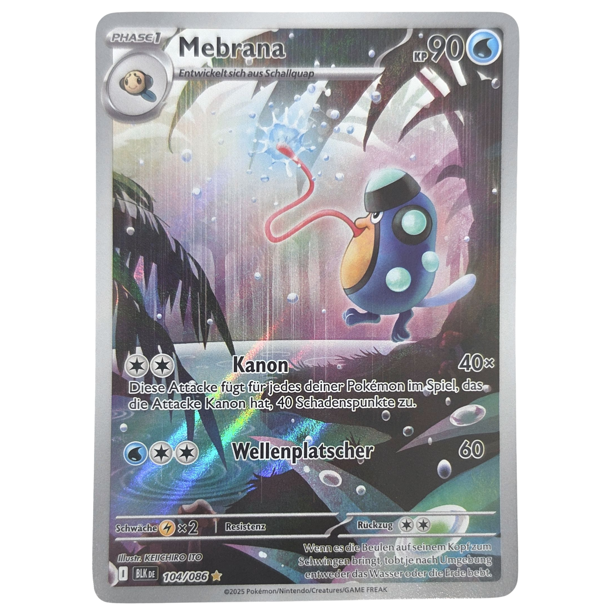 Pokémon: Palpitoad – Black Bolt (BLK 104) – Einzelkarte